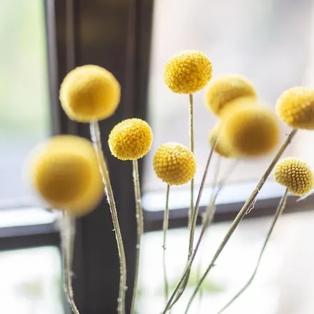 Burg Reichenstein 3* Trechtingshausen