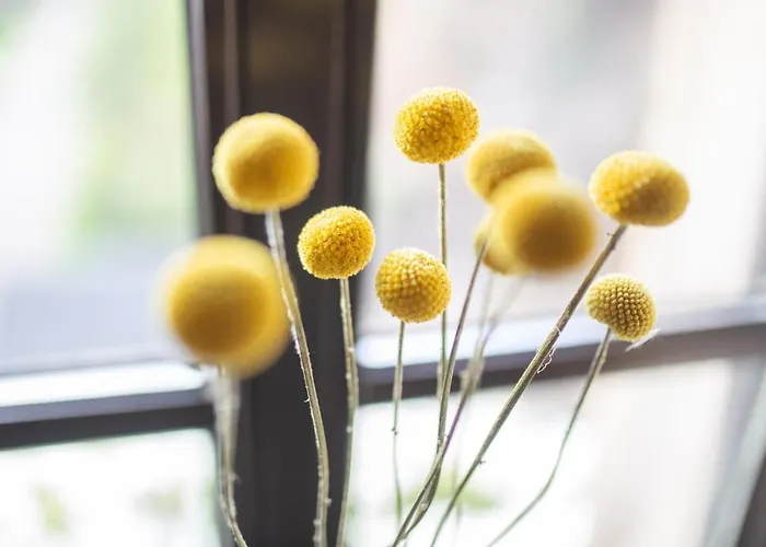 Burg Reichenstein 3* Trechtingshausen